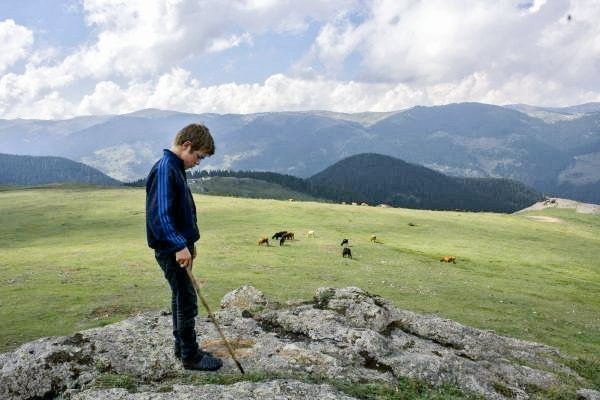 "Tarif edilmez güllerin yankısı gözlerin
Gözlerin kaç kişinin gözlerinde gezinir"

#iyikivarsınEren