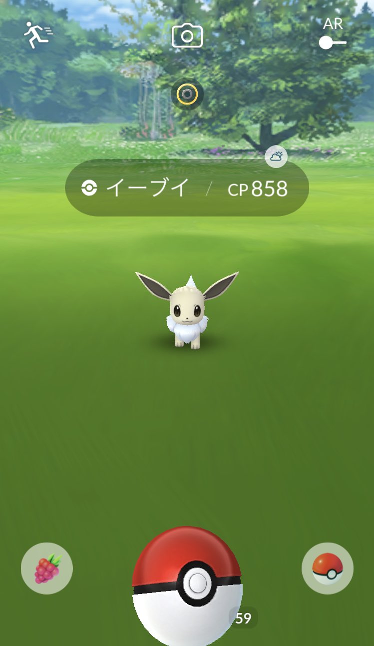 ちい ポケモンgo 1発目から色違いヾ ﾉｼ W ﾉｼ ポケモンgo イーブイ T Co Q5jjvm7mlf Twitter
