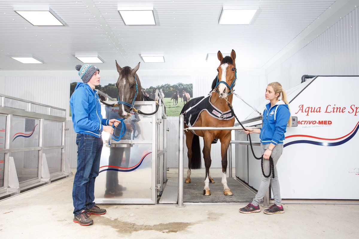 Oakingham Stud tweet media
