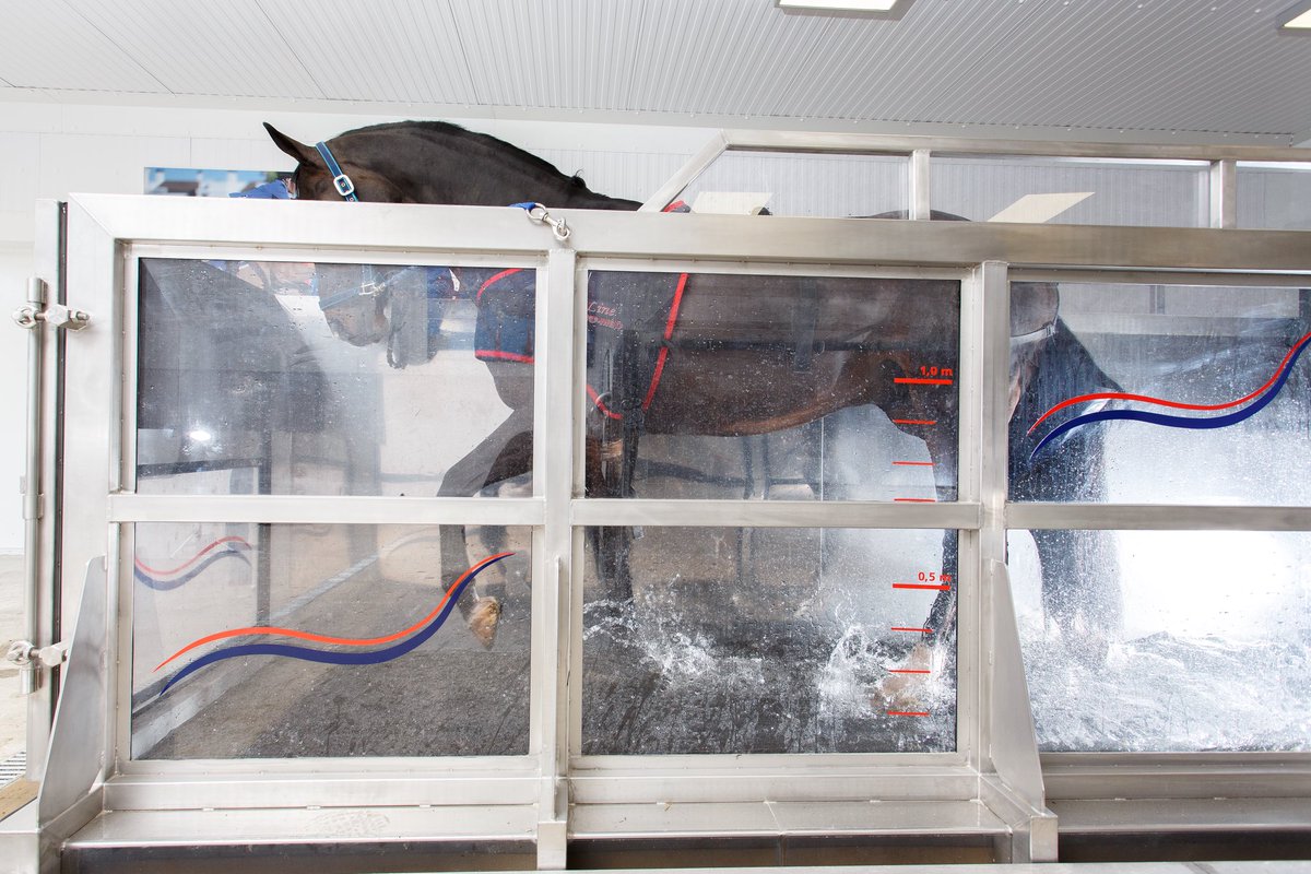 Check out our newest venture! 
#equinerehab #spa #equinefitness