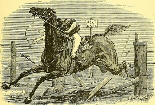 Image from page 394 of "The boy travellers in Australasia : adventures...
flickr.com/photos/1263770…