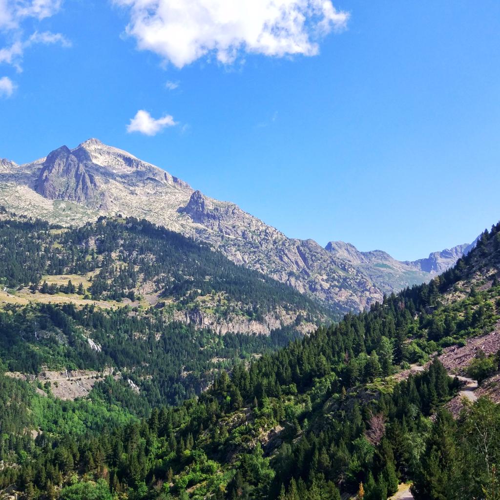 H_ParqueNatural's tweet photo. Y aún quedan 20 días de agosto 😎 #benasque https://t.co/b7YXDOCIiS