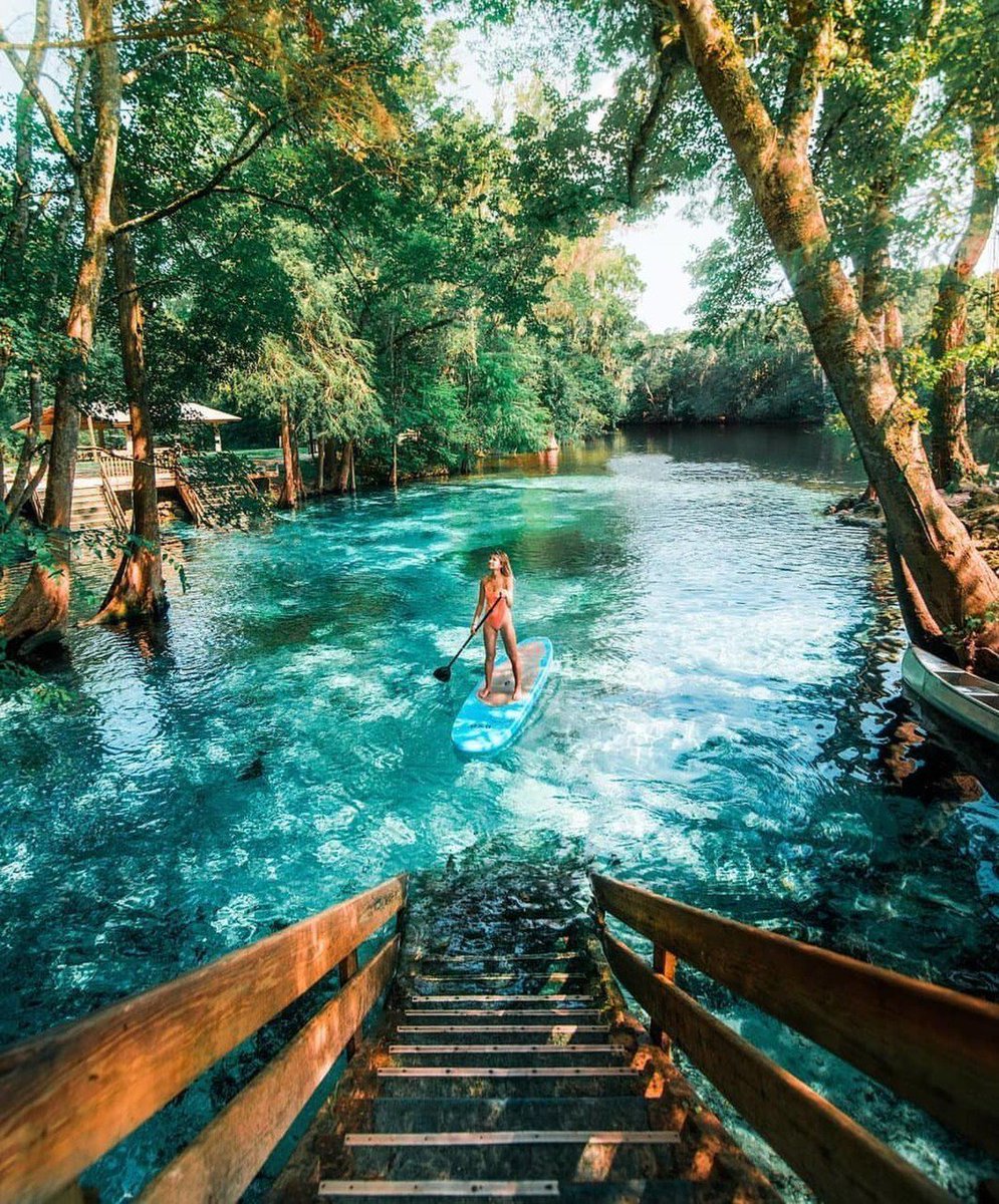 Looks like such a magical place. Ginnie Springs, Florida.  
#florida #survivalcampingworld #camping #campinglife #campingvibes #campingcollective #outdoorlife #outdooradventures #adventures #naturephotography #exploretheworld #camperlife
