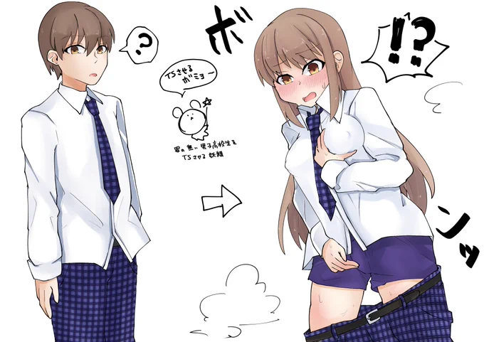 本日@TSF_Meeting で使わせて頂いたイラストです、TSっ娘のパンツはトランクス派 