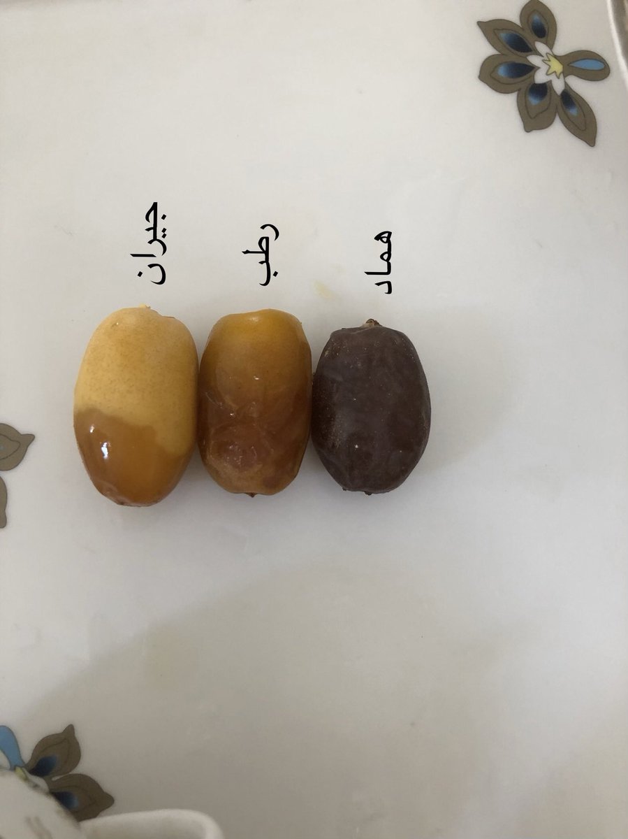 أبو سعيد الحجري (@aws_alhajri) on Twitter photo 