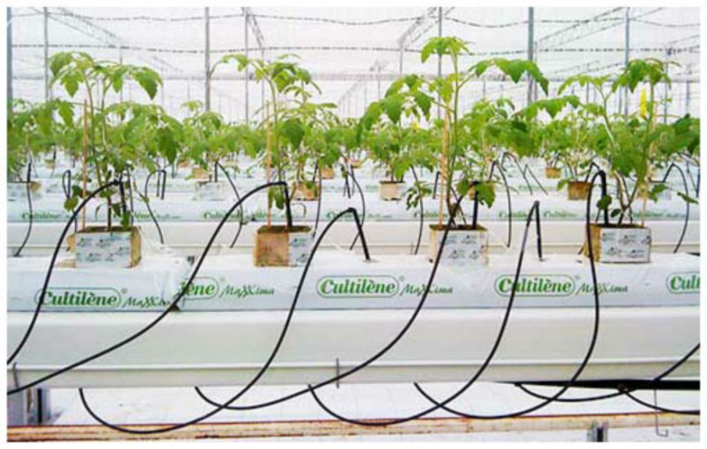 SiliconBayPartn's tweet image. Indoor Farming Robotics Startup Root AI Raises $2.3M #RootAI #Startups ourblog.siliconbaypartners.com/indoor-farming…