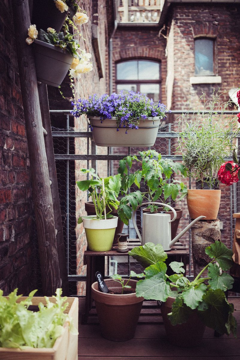 Of je nu een klein, beschaduwd of rommelig balkon hebt, van elk buiten is een plantenparadijs te maken. Wij leggen je uit hoe! bit.ly/terrasbalkon
