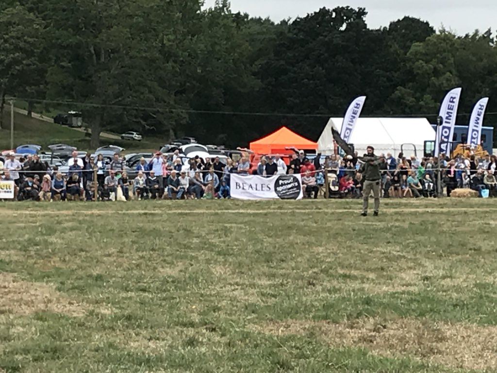 Birds of prey <a href="/EllinghamShow/">Ellingham Show</a> sponsored by Elliots