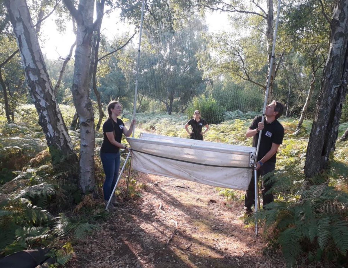 NottsBatGroup's tweet photo. Nottinghamshire Bat Group features on @BBCCountryfile tomorrow at 5.30pm on @BBCOne! Members were filmed during trapping for the Barbastelle project at @hillholtwood 🦇! The project and our other project Echolocation Location are sponsored by @heritagelottery @HLFEastMids https://t.co/1Uv13rSKXH