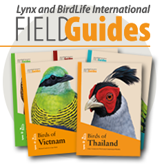 HBW Alive tweet media