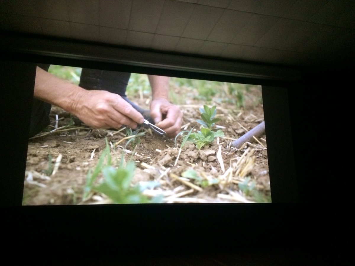 Soil on the big Screen! #ScienceWeek @soilcquest @Aus_ScienceWeek @RiAus @TeganNock #ClimateAction