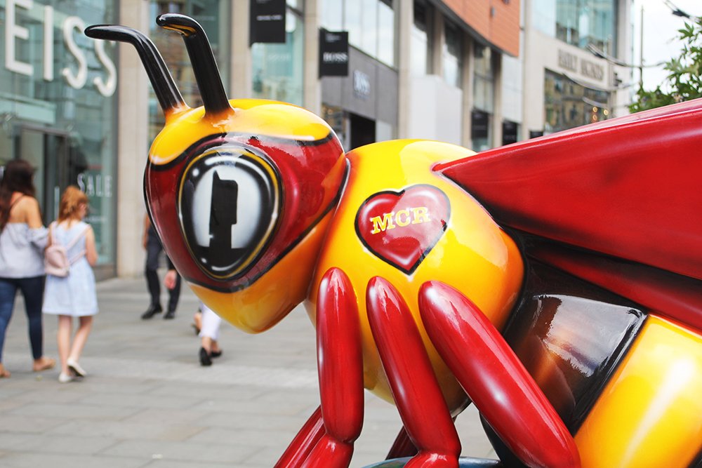 MancBeehive's tweet photo. The aim is to get back into Manchester on Tuesday morning for the last of the #Bees - Work and other commitments have slowed the hunt down a little bit more than anticipated. However, hopefully we will have the full swarm of #BeeInTheCity photographed on on the site soon! https://t.co/5zDGSFMrPv
