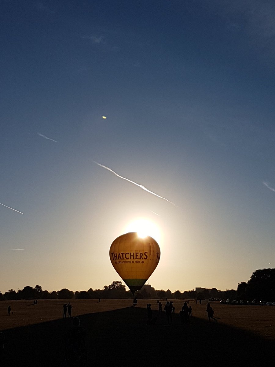 Peter Brill tweet media