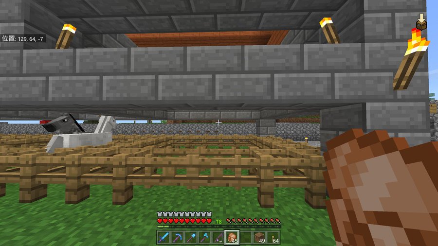 マイクラスイッチ村人 動物が消えるバグの直し方は 不具合の原因も調査 ゾウリムシのよぱ