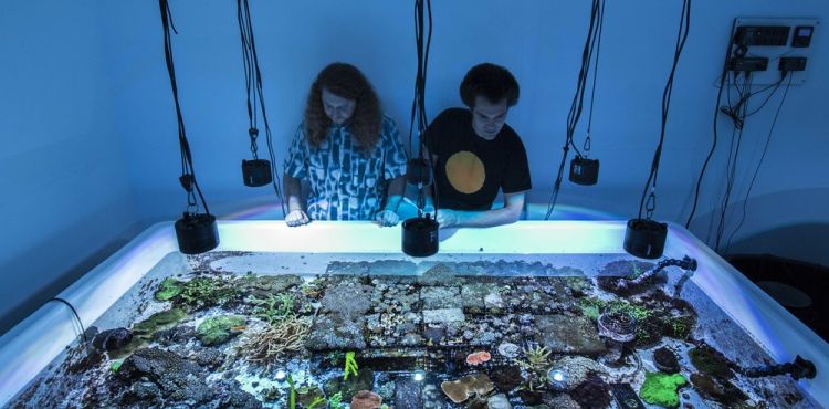 VIEW THE UNOFFICIAL GUIDE