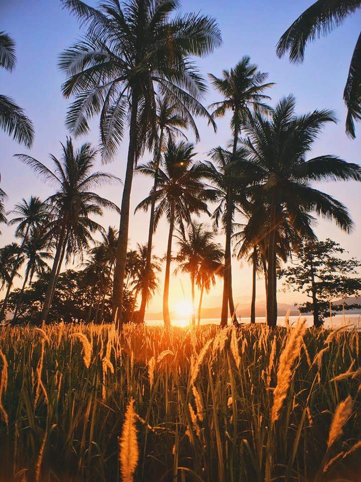 Risvegliarsi al tepore del sole avvolti da una brezza leggera e dal profumo della terra fresca. Sono queste le cose semplici e genuine che rendono una vacanza nelle #Fillipine davvero speciale!
#itmorefuninthephilippines
#visitalefilippine