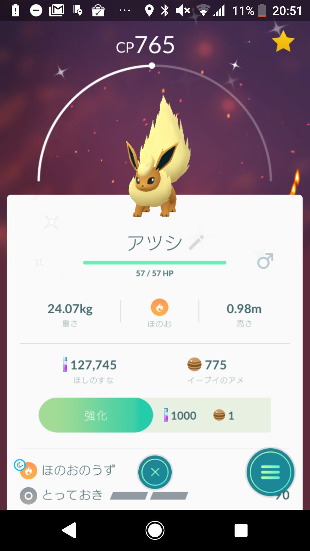 ルーク ブイズの色違い後はエーフィとブラッキー たまたまかもしれんが ニックネームつけたら希望の進化先に進化してくれた ブースターしか試してないが Pokemongocommunityday ポケモンgo イーブイ T Co Vchhen0d3j Twitter