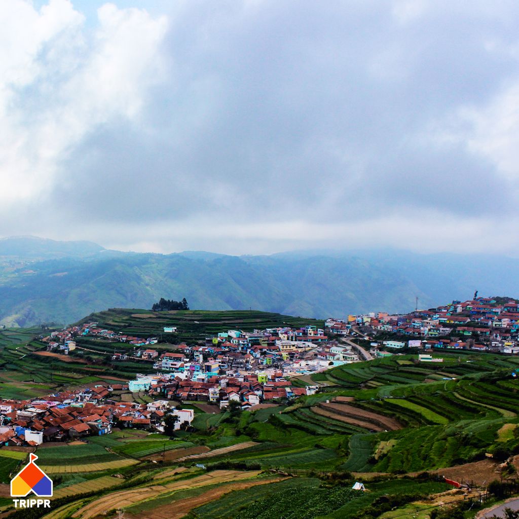tripprworld's tweet image. Sometimes the only way forward is to go on an adventure, meet new people and find yourself. Come join others at our Kodaikanal hostel and explore the gift of the forest.

Book now at tripprworld.com

#trippr #travel #forest #mist #kodaikanal #hills #view #sunrise #sun