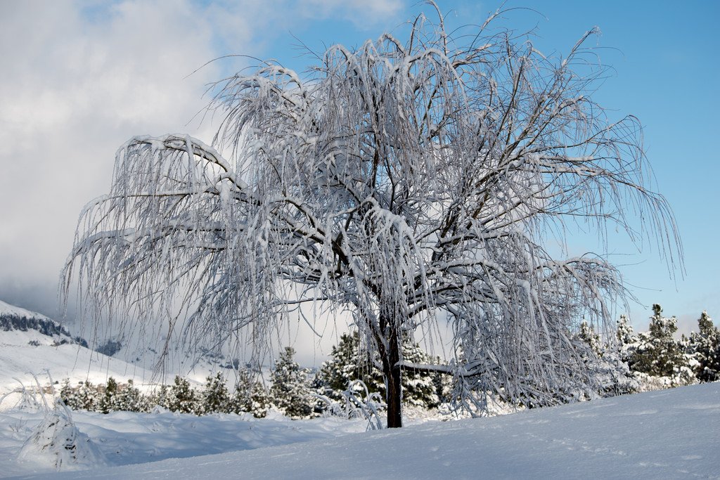 soymariche's tweet photo. #BuenSabado
Huellas que fue dejando el invierno
#SanMartinDeLosAndes #Neuquen
Blancos para admirar #Dandal
#RespiremosPatagonia 💙
Argentina en #imágenes https://t.co/nghOlxakeS