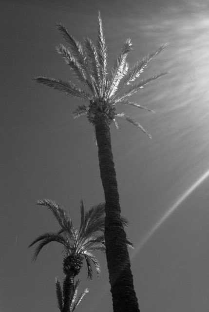 FionaGLinc's tweet photo. Day 3 of 7 my life in black and white no humans no explanations nominated by @Karen17315598 I nominate @JoeFramptonCF https://t.co/7dpXyN1CXO