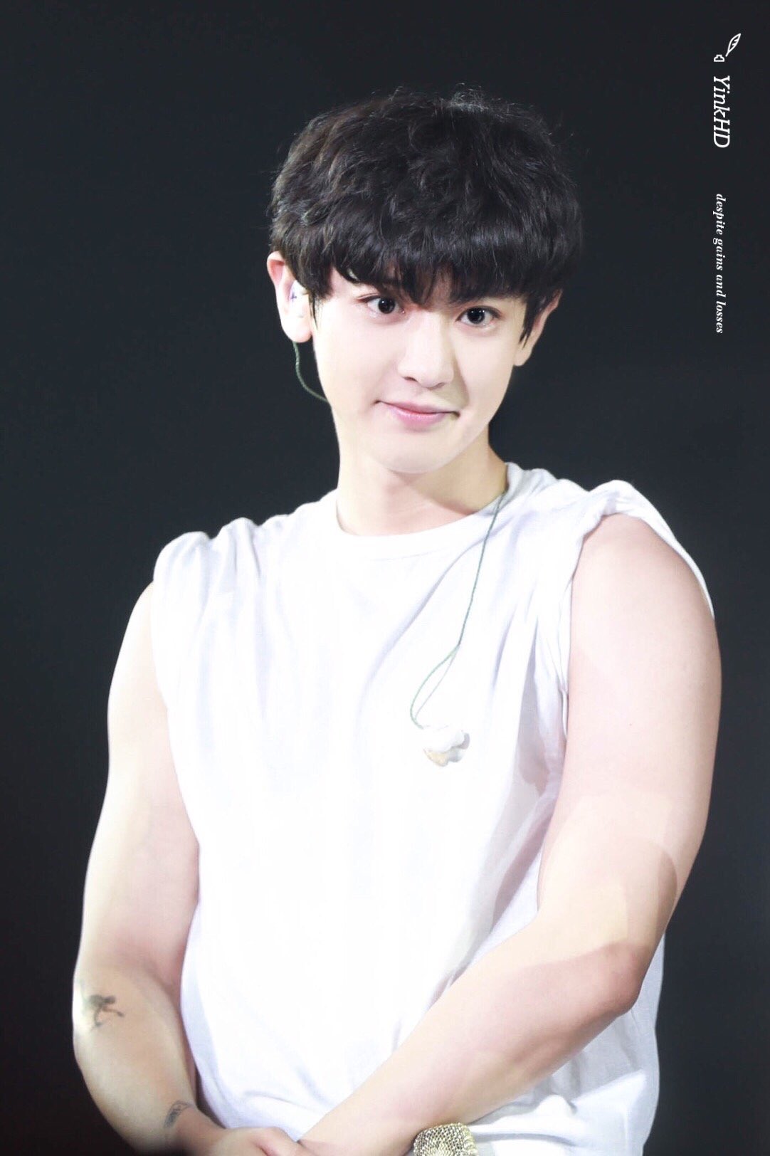 EXO 公式 ペンライト Ver.3 チャニョル CHANYEOL