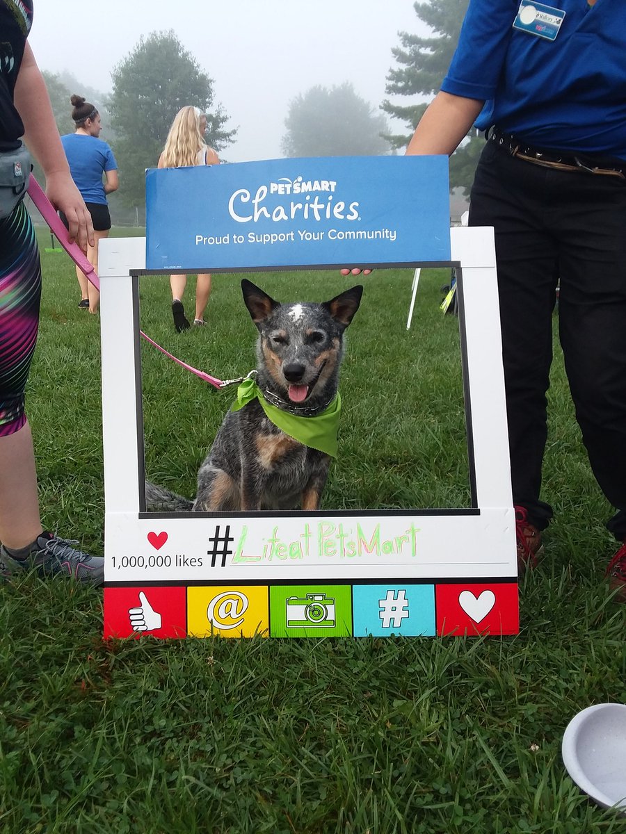 hotelsINDY's tweet photo. We are having a blast at Woofstock, don't miss out! 🐶🎉

@petsmart @PetSmartChariTs @jeffaburleson @bmartpmart @JoeCahue @LifeatPetSmart 
@BrownsburgIN @TownofAvonIN https://t.co/WgXxRHd5nQ
