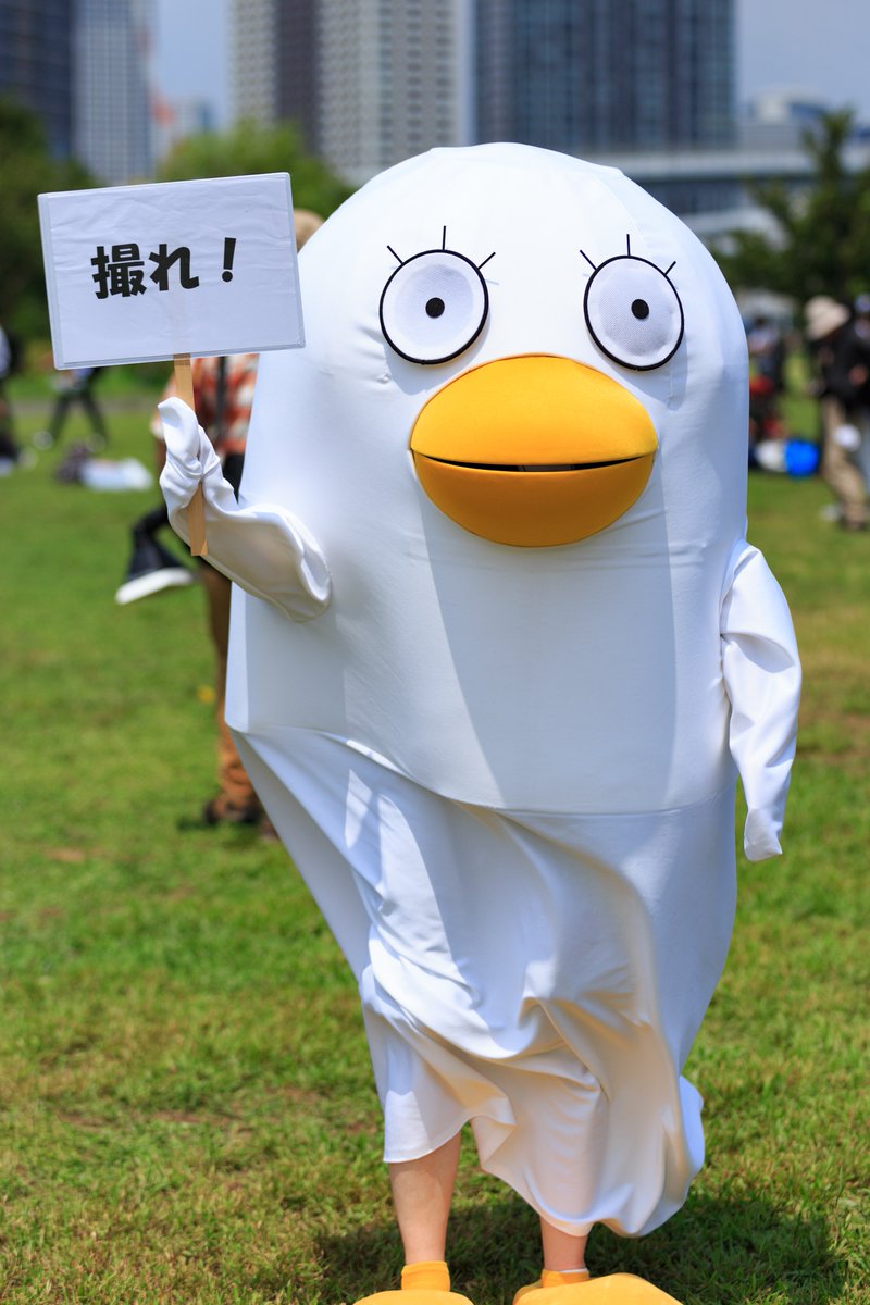 Kg けーじー 18 8 11 C94二日目 銀魂 エリザベス アカウント聞きそびれてしまいました C94 C94コスプレ T Co 2qfhquw19q Twitter