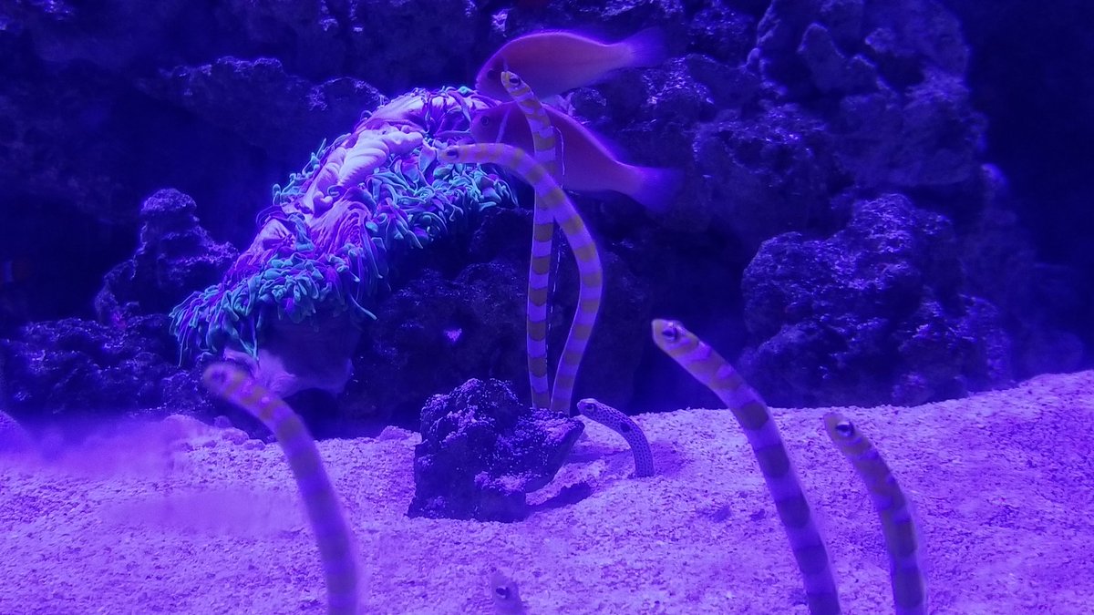 幻想的な画像