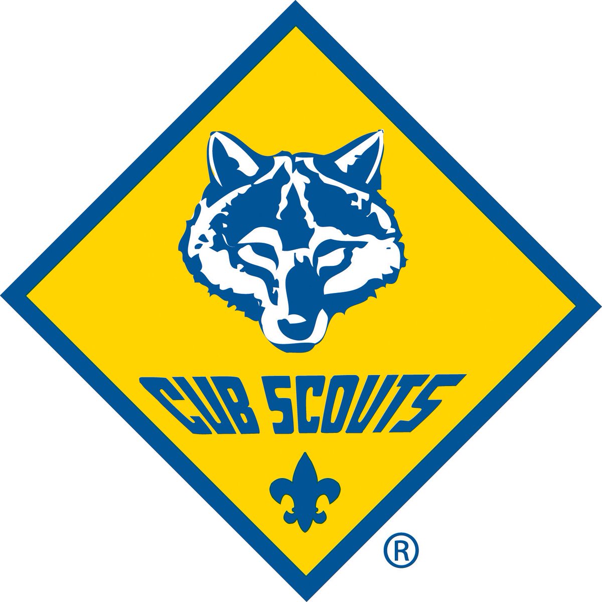 Looking for a way to help? Come on down to the Canandaigua WalMart today 9-4 and Sunday 10-2, the Scouts will be collecting supplies for students in need! It is always amazing to see kids helping kids-stop in and say hello! ❤️❤️❤️