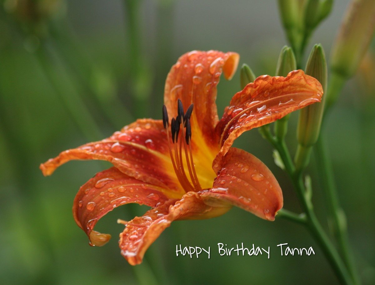 Armin Zimmermann tweet media