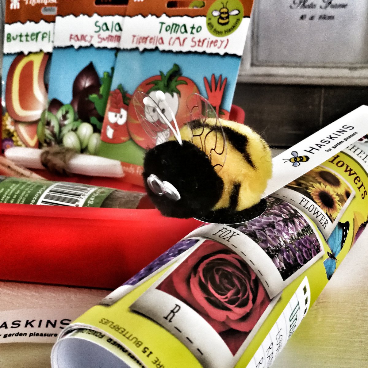 What a fab way to get your kids interested in learning how to grow your own veggies. This lovely gift was sent to us from Haskins. I normally kill most plants I buy so hopefully the kids will show me how it's done 😂🙈 Pop over to our Instagram stories for inside look... #dorset