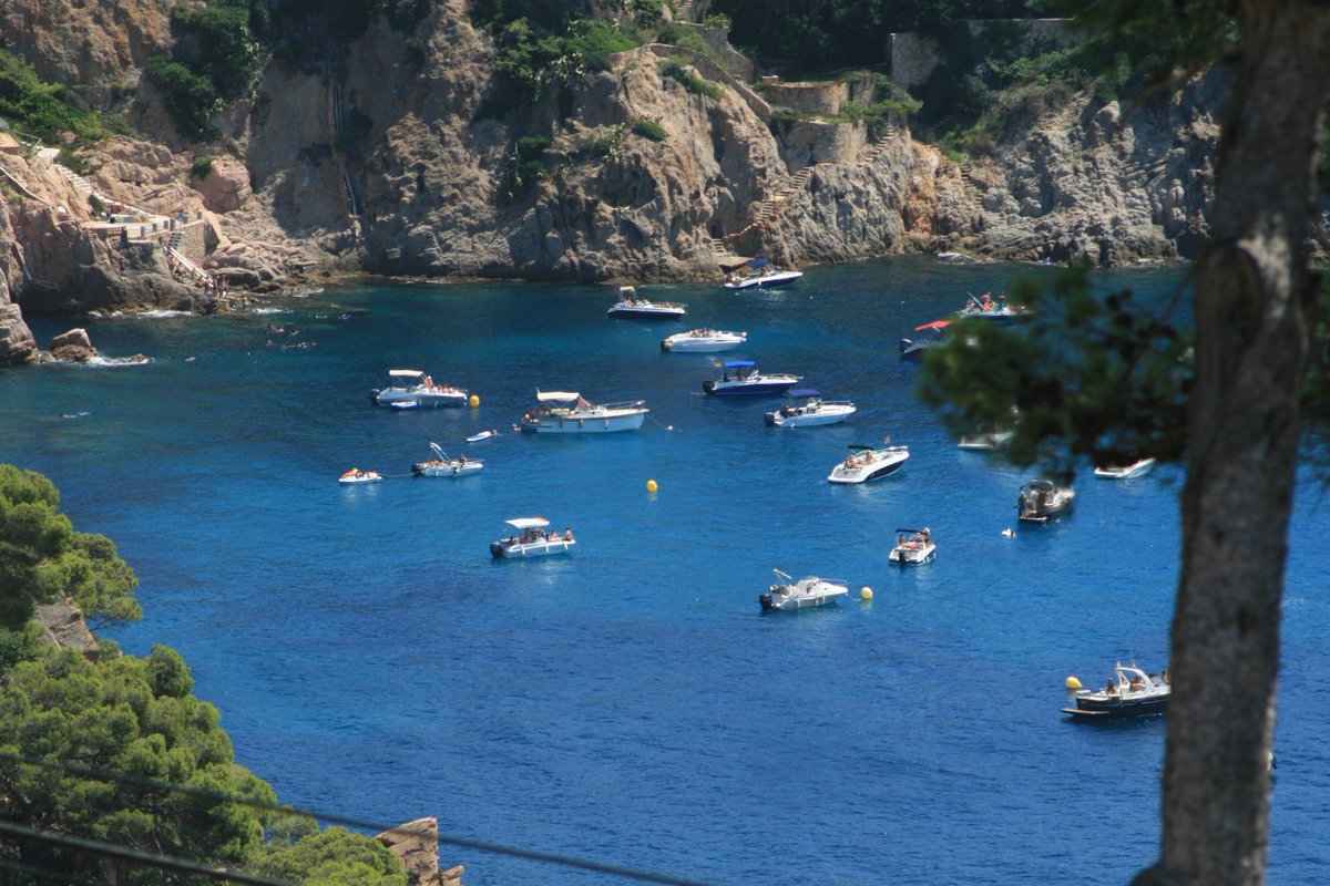 ambotes's tweet photo. Ja hi tornem a ser! Els "espavilats" de torn a la Cala del Vigatà de @Guixols La majoria respecten les boies, però uns quants... 👿👿 Caps de setmana d'agost... https://t.co/cjgm34fEND