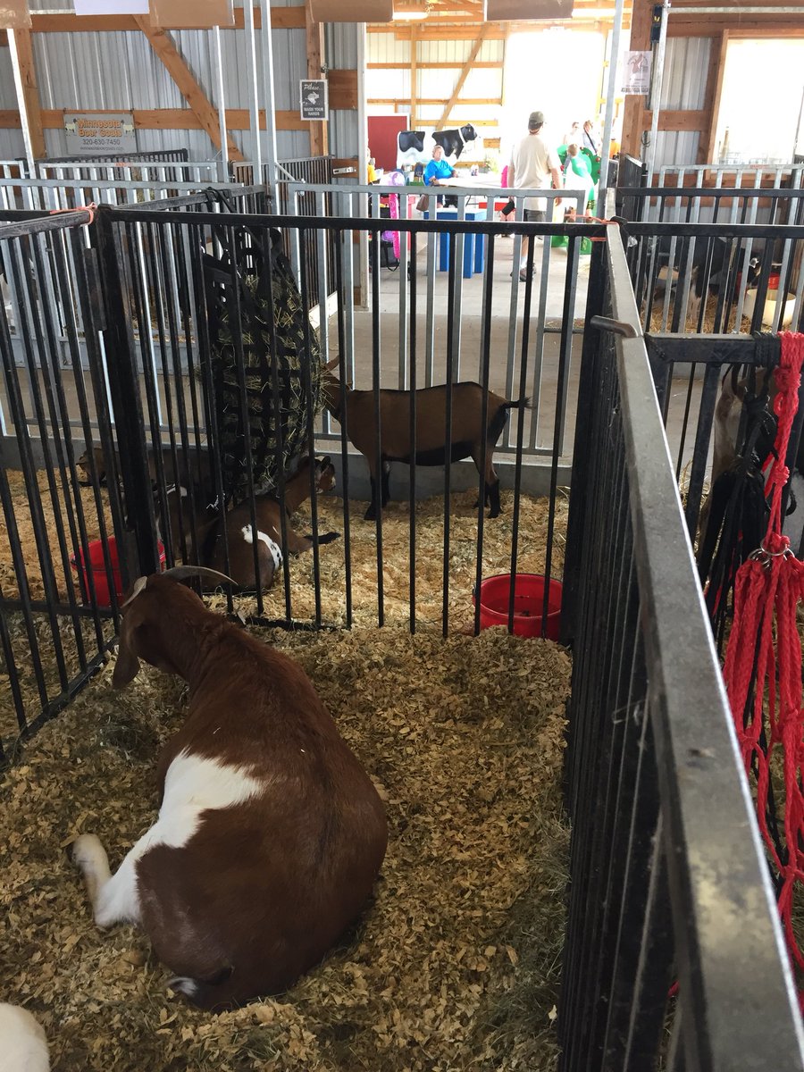 JeffreyJelinski's tweet photo. Today is the last chance for YOU to get out, support, and enjoy YOUR #MorrisonCountyFair. Come on everyone to the @MorrisonFair. #CowMilkingContest @ noon, #MilkMustache contest @ 2:00. Many activities at the fair. Come one, come all to YOUR #CountyFair. #Safety #Smiles 😀🇺🇸 https://t.co/uNMAaCDWHx
