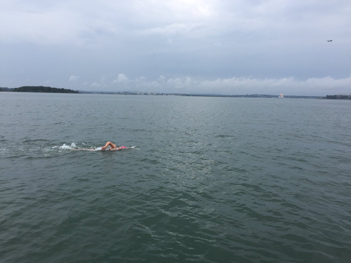 Alana BLS 2018 tweet media