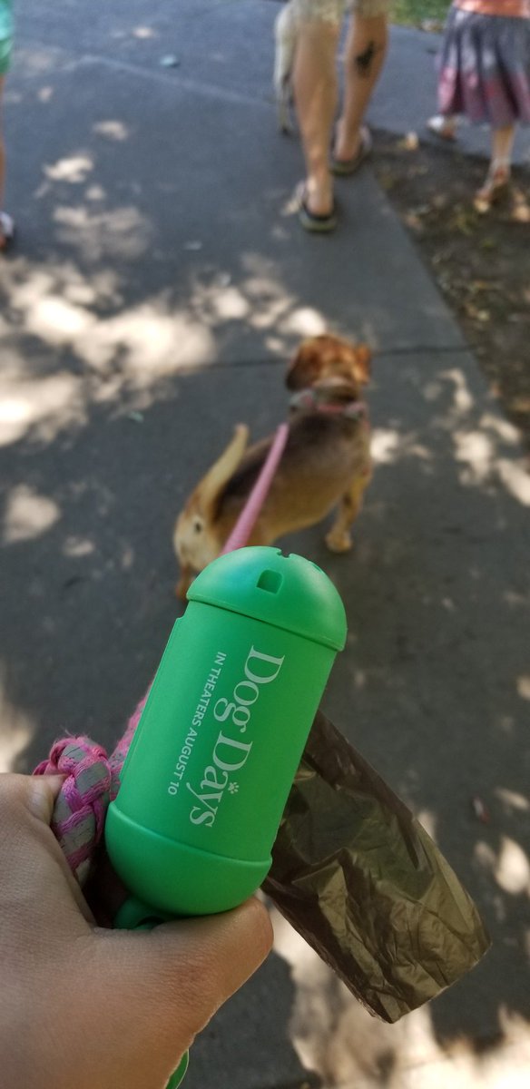 MamasGeeky's tweet photo. Taking the pups out for a walk after taking the whole family to see @DogDaysTheFilm! Don't want Khaleesi to end up a fatty like Mabel. I mean that in the nicest way possible. Great family film! Everyone loved it! BRING TISSUES!! #DogDays #LDEntertainmentPartner https://t.co/KsHNWgrGVt