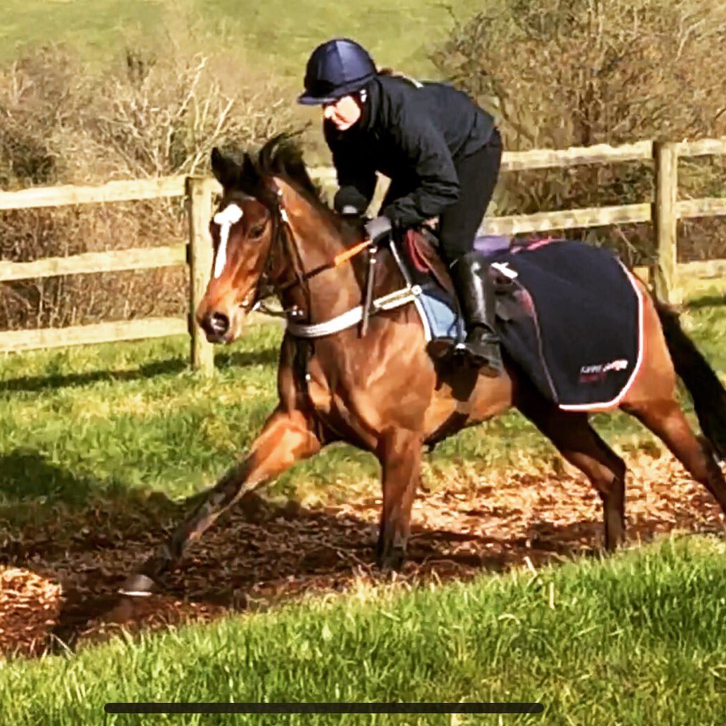 Pauljhgeorge's tweet photo. Zapateado looking very pleased with herself ahead of tomorrow’s race @LeicesterRaces when @JPSPENCER1980 will be taking the reins. A super filly owned by @Trade_Access #thewinningpost #britishracing #newteam #gohardorgohome #jointheteam #inittowinit https://t.co/bKpJH6k4ws