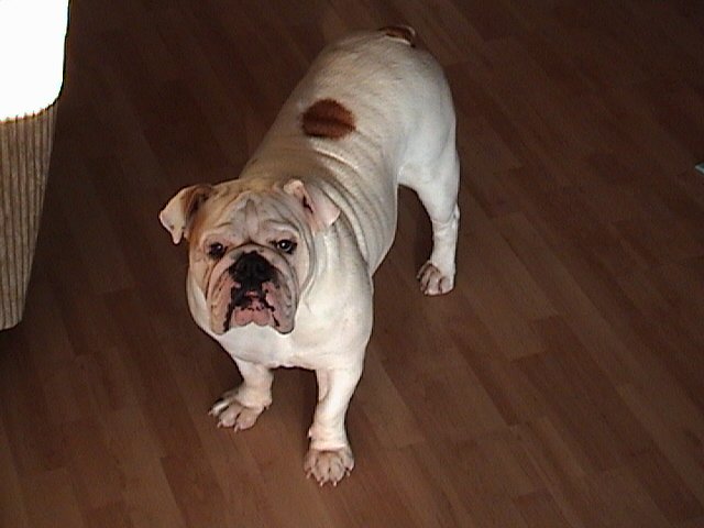 WorldFamousEnt's tweet image. My Girl Dana.. R.I.P