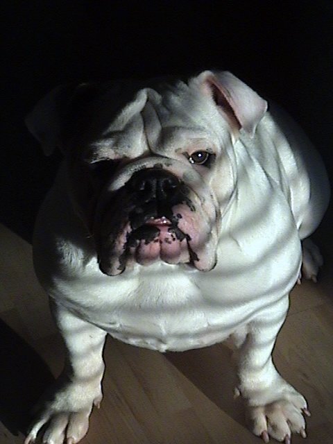 WorldFamousEnt's tweet image. My Girl Dana.. R.I.P