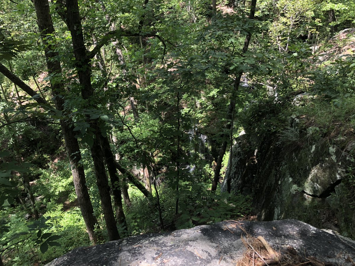 ericaallar's tweet photo. Logged a 2 hour #mtb ride today that featured a waterfalland & got to check in two of my @rally_health missions including bike for 20 mins and #begrateful ! ✔️ #rallyhealth #feedyouradventure #rallycats 💁🏼♀️ #tiredbuthappy https://t.co/PNs2XT0G3V