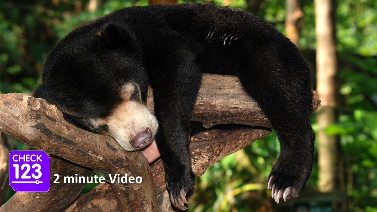 Check123 NATURE tweet media