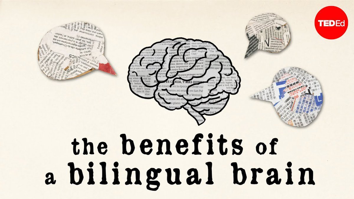 TED_ED's tweet photo. How knowing more than one language can actually change the way your brain looks and works: https://t.co/Cx6t8nMMUC https://t.co/vOyf98onMf
