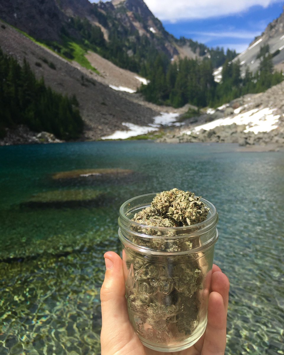 ChillWaze's tweet photo. Kush Mountains #chillwaze #hiking #kush https://t.co/cb8v27JoJl