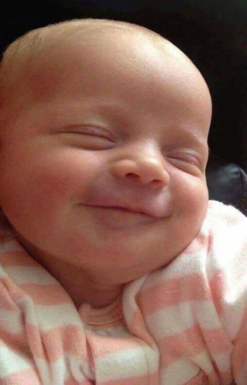 LiveAndLean1's tweet photo. Deus me livre mas quem me dera. https://t.co/CTKBNm7nec