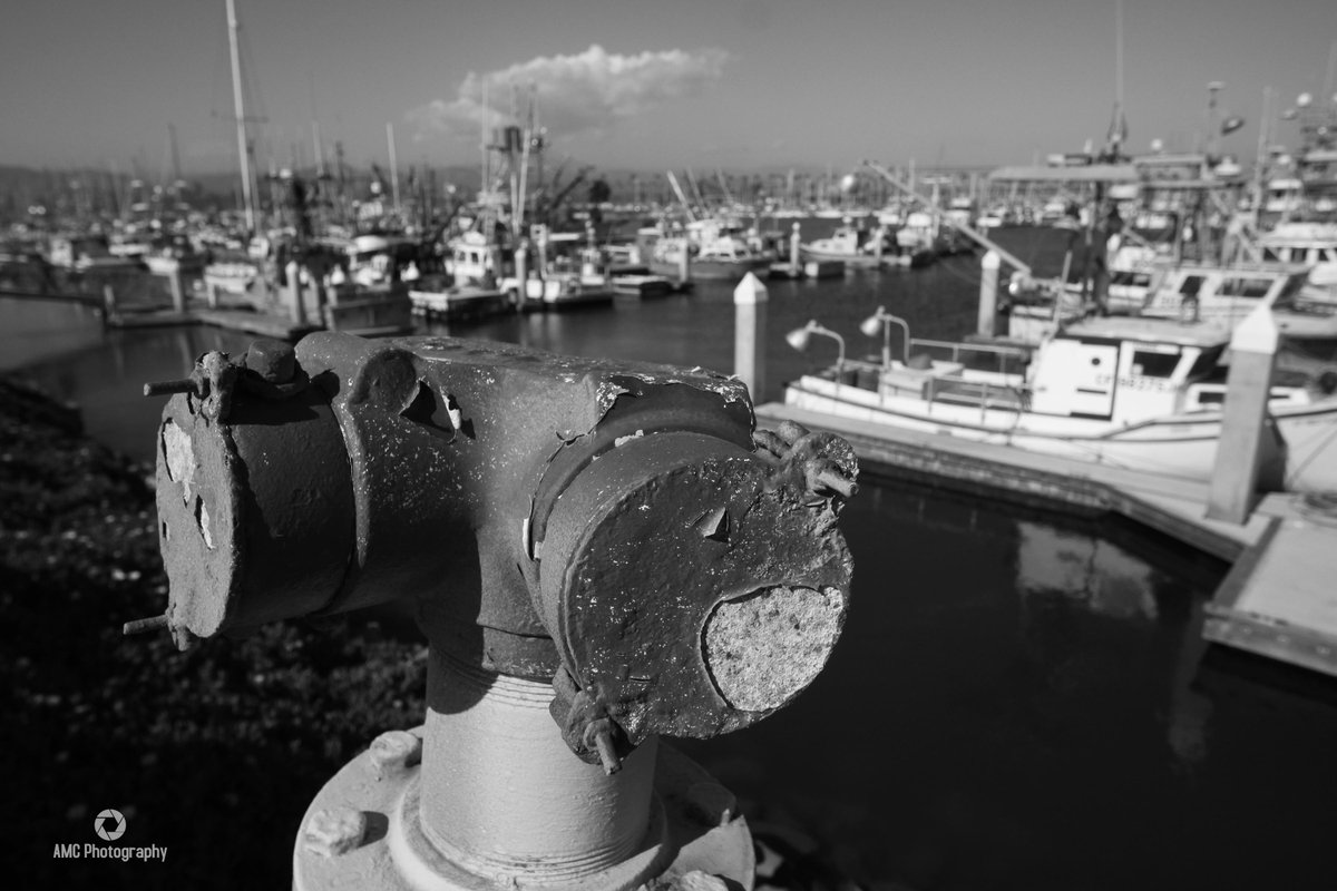 BossCaptures's tweet image. Ventura @VenturaHarbor ... what a treat &amp;lt;3 
By: AMC Photography