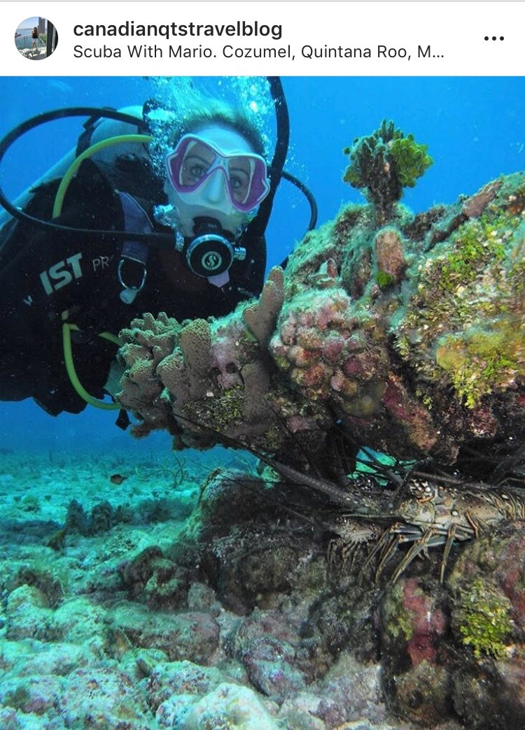 jenzjourneys's tweet image. Calling all travellers💕! Global treasures &amp;amp; hidden gems! New travel blog #mustcheckout #travel #wanderlust instagram.com/p/Bl_2GvoBrv0