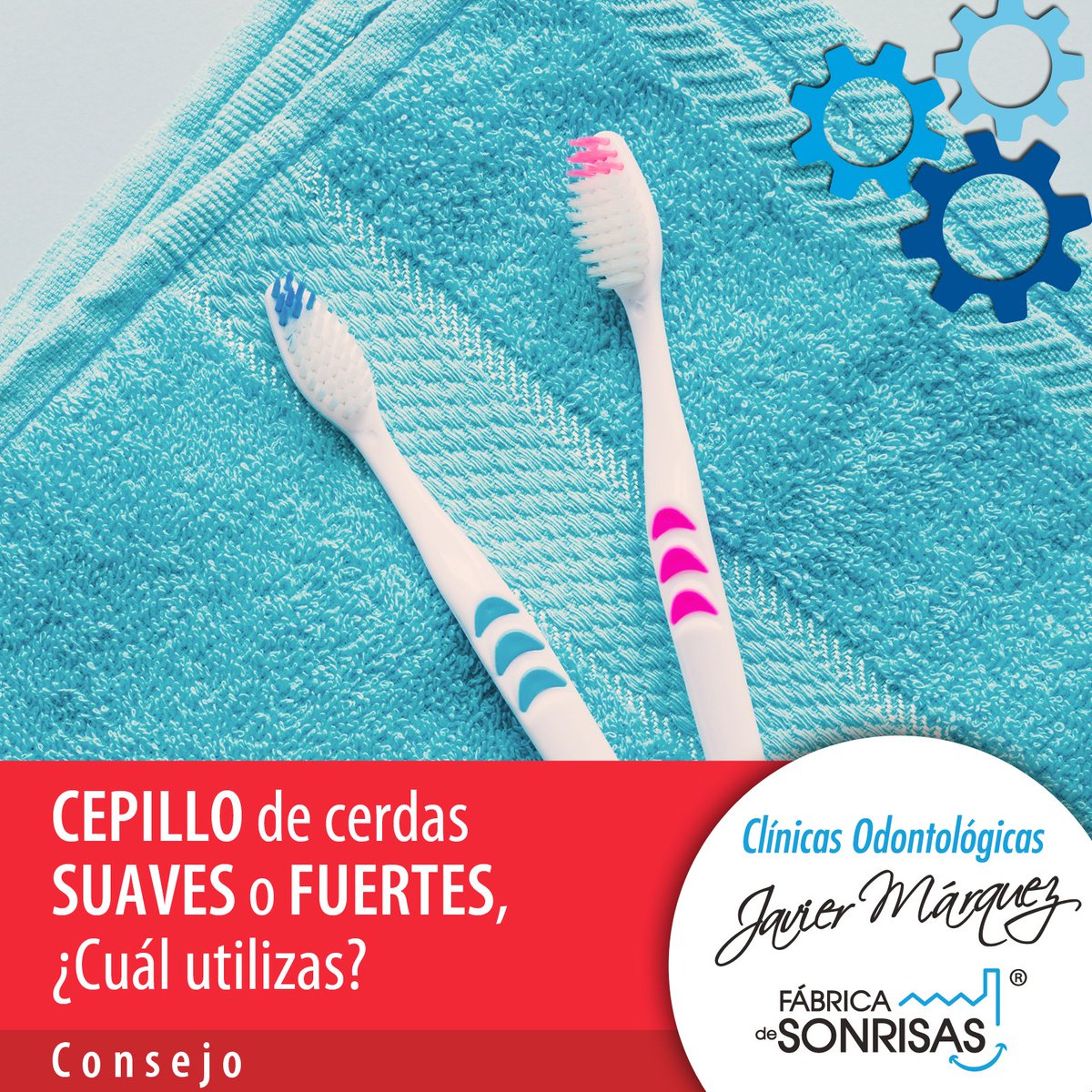 FabSonrisasCol's tweet photo. Los cepillos de cerdas suaves suelen ser los más recomendados ya que no maltratan el esmalte ni encías y llegan a las zonas de difícil acceso gracias a su flexibilidad. Consulta con tu especialista la mejor alternativa para evitar desgaste y dolencias. #Recomendaciones https://t.co/uasSYcOPW2