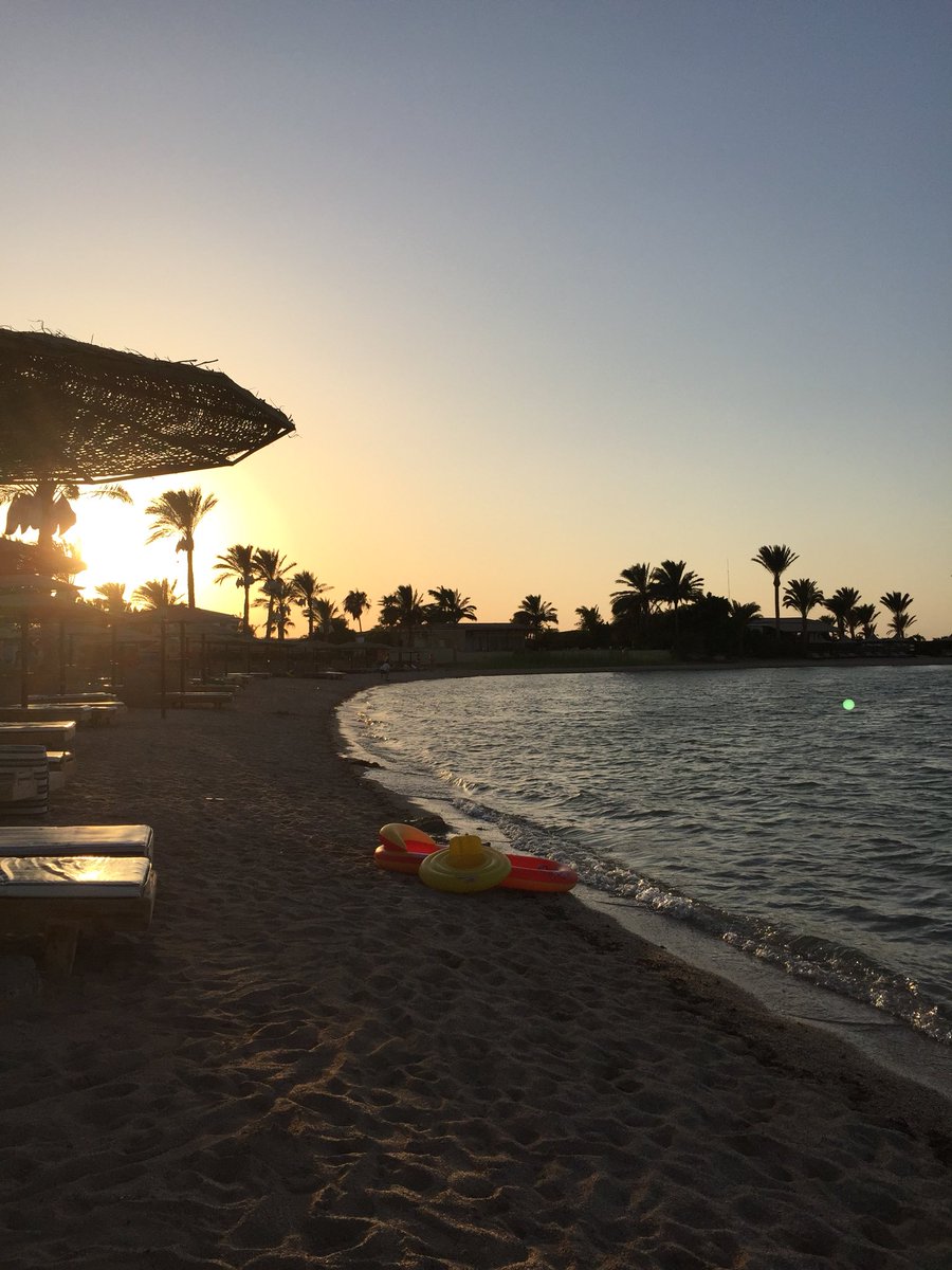 FranziMaetzel's tweet photo. Enjoying the quiet at the beach! Have a nice evening everyone! #sunset #sun #beach #water #sea #quiet #beautiful #sundown #vibes #holiday #vacation #egypt #palmtrees #nature #nofilter #enjoy #relax #lastsunlight #beautifulnature #haveaniceevening https://t.co/7DZViWj9mQ