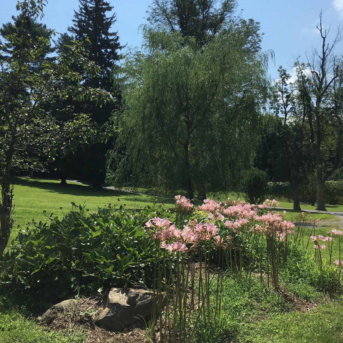 WillowcroftWinery tweet media