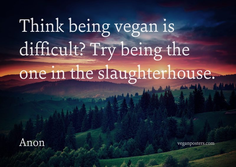 veganposters's tweet image. Think being vegan is difficult? Try being the one in the slaughterhouse. - Anon #vegan