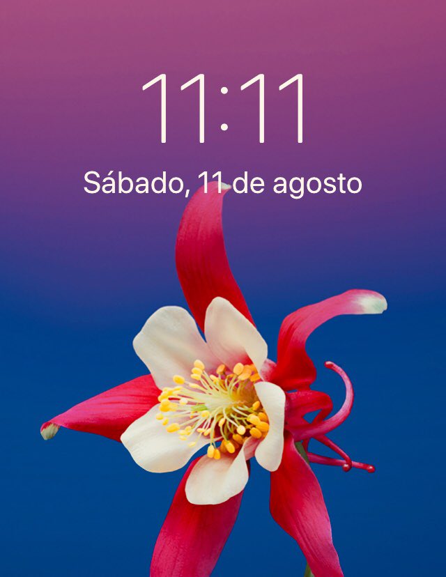 NayelliNava1's tweet photo. A mi #Maretto que hoy hace un año se fue al cielo. Aquí sigo recordándole y diciéndole que fortificó mi vida interior. ❤️ https://t.co/4tvPy2mwog